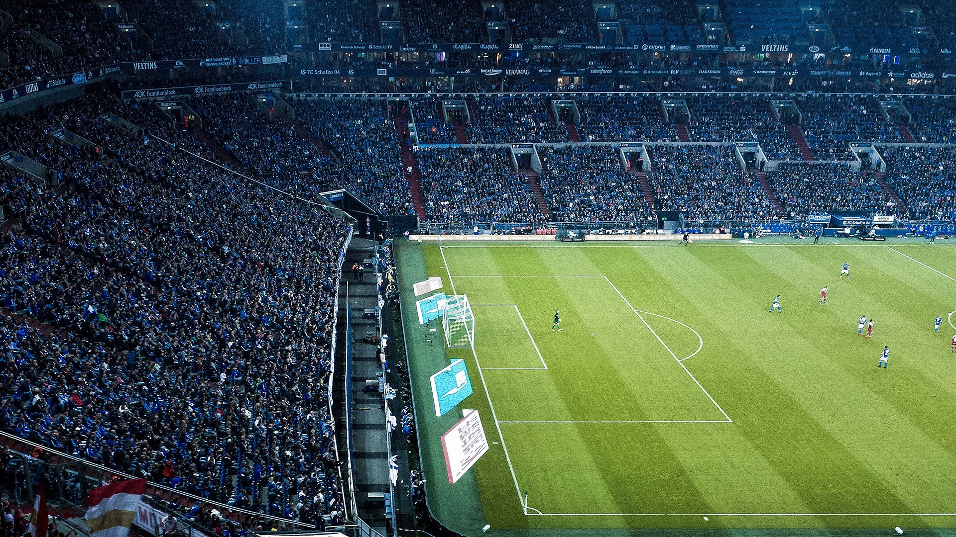 开云体育真人-《Hope：新人新希望，天赋令对手望尘莫及》